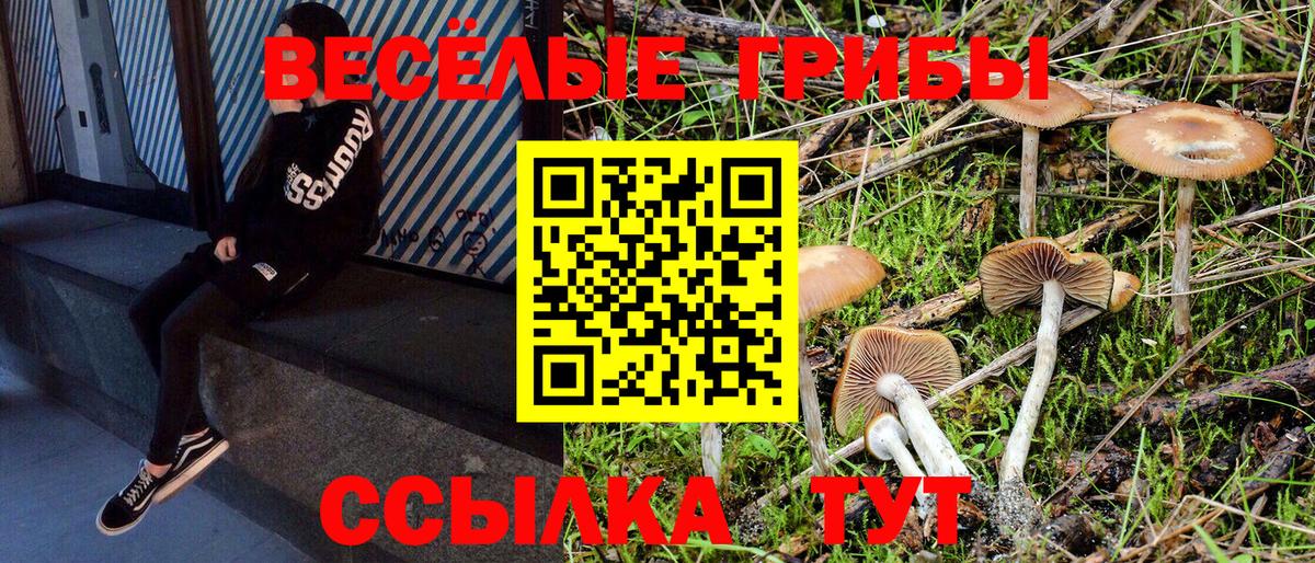Галлюциногенные грибы Magic Shrooms Майкоп