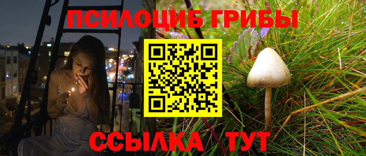 Майкоп  Галлюциногенные грибы мухоморы  Вход с VPN 